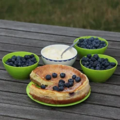 Blueberry 'Bluecrop' 15 Blueberry 'Bluecrop' -Plant Verdant Sales pl0000001890 card8 lg scaled