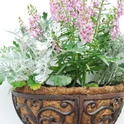 Cast Iron Wall Manger 5 Cast Iron Wall Manger -Plant Verdant Sales pr2000004969 card3 lg