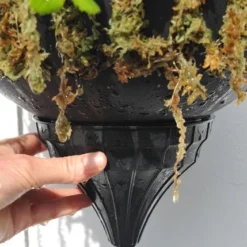 Pair Of Self-watering Hanging Baskets -Plant Verdant Sales pr2000006136 card3 lg