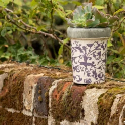 Aged Ceramic Long Tom Pot -Plant Verdant Sales pr2000008818 card3 lg