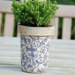 Aged Ceramic Long Tom Pot -Plant Verdant Sales pr2000008818 card4 lg