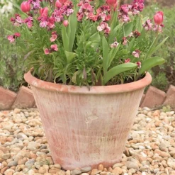 Lucca Terracotta Pot 10 Lucca Terracotta Pot -Plant Verdant Sales pr2000012805 card3 lg