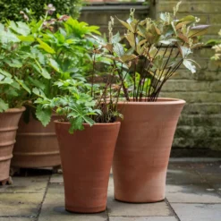 Empoli Terracotta Lily Pot 12 Empoli Terracotta Lily Pot -Plant Verdant Sales pr2000012808 card5 lg