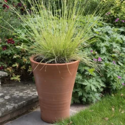 Empoli Terracotta Lily Pot 14 Empoli Terracotta Lily Pot -Plant Verdant Sales pr2000012808 card7 lg