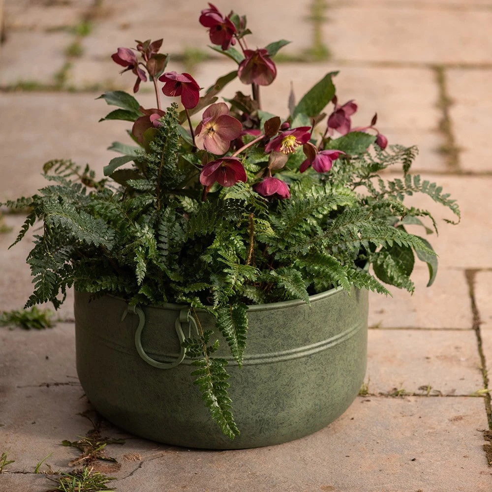 Verdigris Plant Bowl/drink Bucket 2 Verdigris Plant Bowl/drink Bucket - Image 2