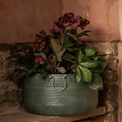 Verdigris Plant Bowl/drink Bucket 10 Verdigris Plant Bowl/drink Bucket -Plant Verdant Sales pr2000016191 card4 lg