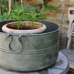 Verdigris Plant Bowl/drink Bucket 13 Verdigris Plant Bowl/drink Bucket -Plant Verdant Sales pr2000016191 card7 lg