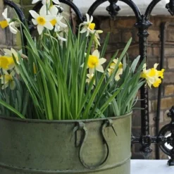 Verdigris Tall Metal Planter 7 Verdigris Tall Metal Planter -Plant Verdant Sales pr2000016192 card3 lg