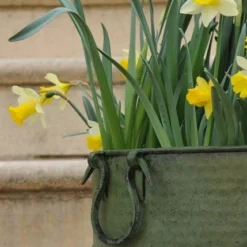 Verdigris Tall Metal Planter 8 Verdigris Tall Metal Planter -Plant Verdant Sales pr2000016192 card4 lg