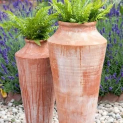 Terracotta Oil Pot 9 Terracotta Oil Pot -Plant Verdant Sales pr2000016940 card5 lg