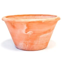 Terracotta Arc Pot -Plant Verdant Sales pr2000016942 card10 lg