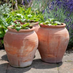 Terracotta Tulip Pot 19 Terracotta Tulip Pot -Plant Verdant Sales pr2000017349 card10 lg