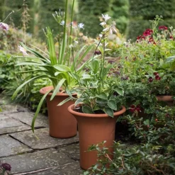 Terracotta Flared Rim Pot 13 Terracotta Flared Rim Pot -Plant Verdant Sales pr2000017350 card5 lg