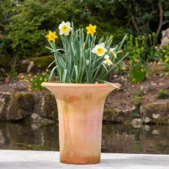 Terracotta Flared Rim Pot 17 Terracotta Flared Rim Pot -Plant Verdant Sales pr2000017350 card9 lg