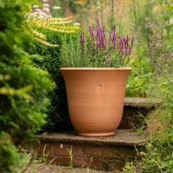 Terracotta Perennial Bell Pot 9 Terracotta Perennial Bell Pot -Plant Verdant Sales pr2000017362 card4 lg