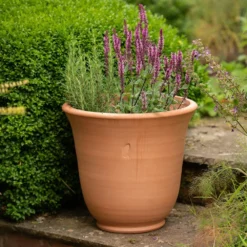 Terracotta Perennial Bell Pot 10 Terracotta Perennial Bell Pot -Plant Verdant Sales pr2000017362 card5 lg