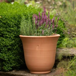 Terracotta Perennial Bell Pot 11 Terracotta Perennial Bell Pot -Plant Verdant Sales pr2000017362 card6 lg