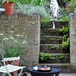 Cast Iron Fire Pit With Grill -Plant Verdant Sales pr2000019246 card7 lg