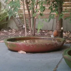 Terracotta Saucer -Plant Verdant Sales pr2000022770 card3 lg