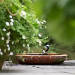 Terracotta Saucer -Plant Verdant Sales pr2000022770 card6 lg