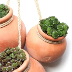 Terracotta Babylon Hanging Pot -Plant Verdant Sales pr2000023695 card5 lg