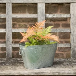 Galvanised Metal Trough -Plant Verdant Sales pr2000026345 card5 lg