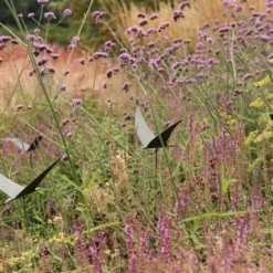 Silhouette Flying Bird -Plant Verdant Sales pr2000026361 card3 lg