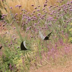 Silhouette Flying Bird -Plant Verdant Sales pr2000026361 card5 lg