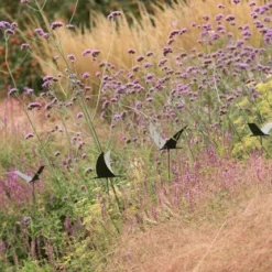 Silhouette Flying Bird -Plant Verdant Sales pr2000026361 card6 lg