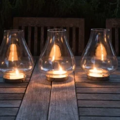 Tulip Hurricane Lantern -Plant Verdant Sales pr2000026365 card3 lg