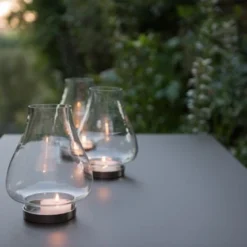 Tulip Hurricane Lantern -Plant Verdant Sales pr2000026365 card5 lg