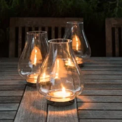 Tulip Hurricane Lantern -Plant Verdant Sales pr2000026365 card6 lg