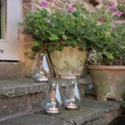 Tulip Hurricane Lantern -Plant Verdant Sales pr2000026365 card7 lg