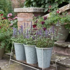 Three Galvanised Pots And Stand 7 Three Galvanised Pots And Stand -Plant Verdant Sales pr2000027863 card3 lg