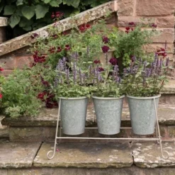 Three Galvanised Pots And Stand 9 Three Galvanised Pots And Stand -Plant Verdant Sales pr2000027863 card5 lg