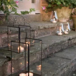 Candle Lantern -Plant Verdant Sales pr2000027870 card3 lg