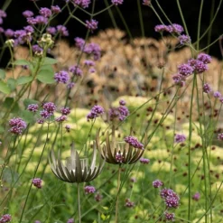 Flower Stake Tealight Holder -Plant Verdant Sales pr2000027887 card7 lg