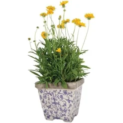 Aged Ceramic Flower Pots - Set Of 3 5 Aged Ceramic Flower Pots - Set Of 3 -Plant Verdant Sales pr2000028008 card3 lg