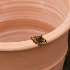 Monachou Terracotta Pot 7 Monachou Terracotta Pot -Plant Verdant Sales pr2000028341 card3 lg