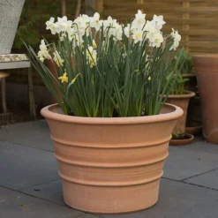 Monachou Fardipati Terracotta Pot 13 Monachou Fardipati Terracotta Pot -Plant Verdant Sales pr2000028348 card7 lg