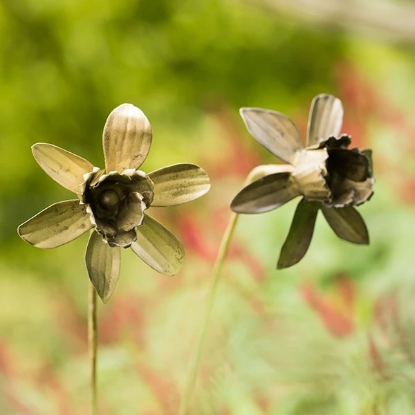 Daffodil Flower Stake - Antique Brass 3 Daffodil Flower Stake - Antique Brass - Image 3