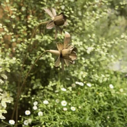 Daffodil Flower Stake - Antique Brass 13 Daffodil Flower Stake - Antique Brass -Plant Verdant Sales pr2000028377 card7 lg
