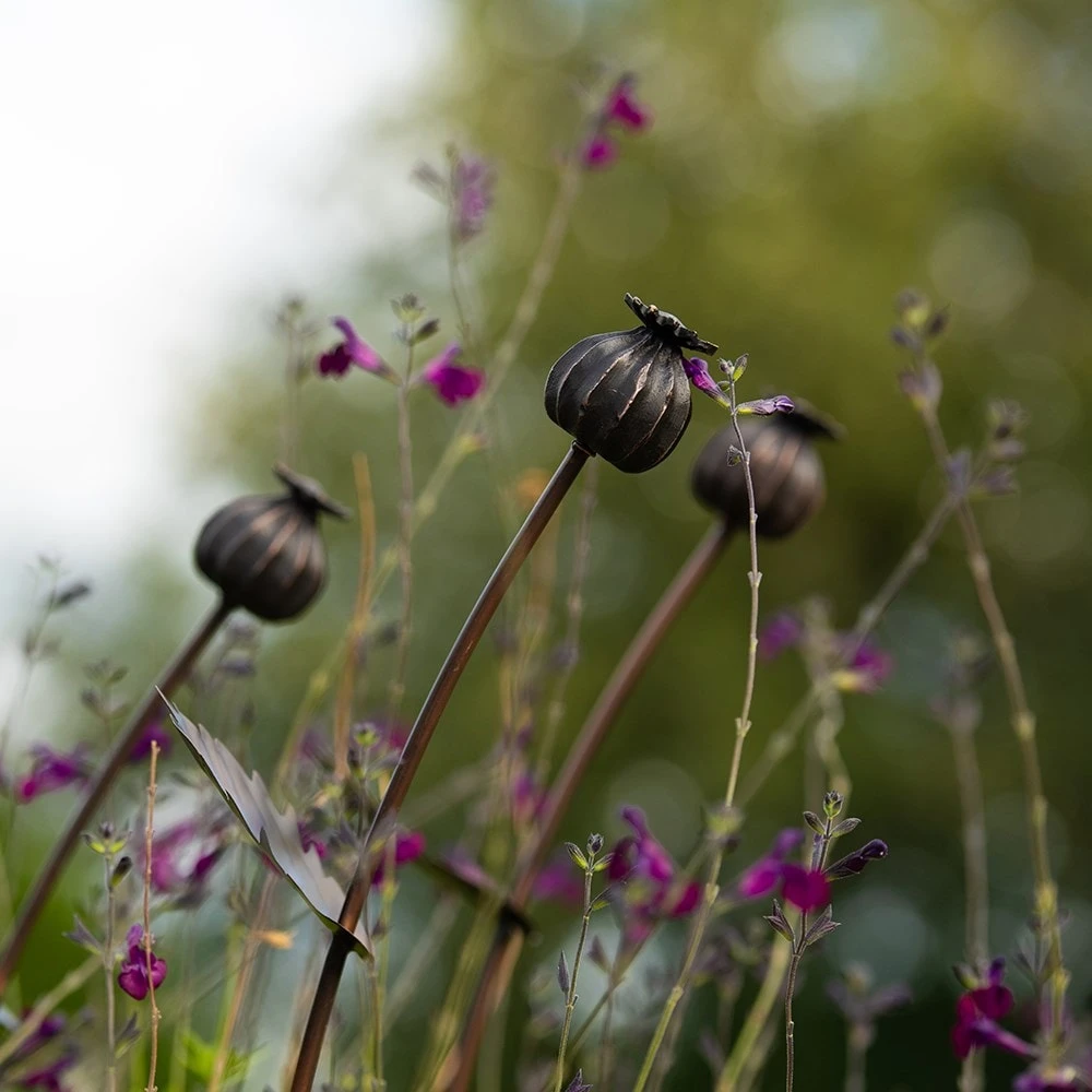 Poppy Seed Head Stake - Small Seed Head 2 Poppy Seed Head Stake - Small Seed Head - Image 2