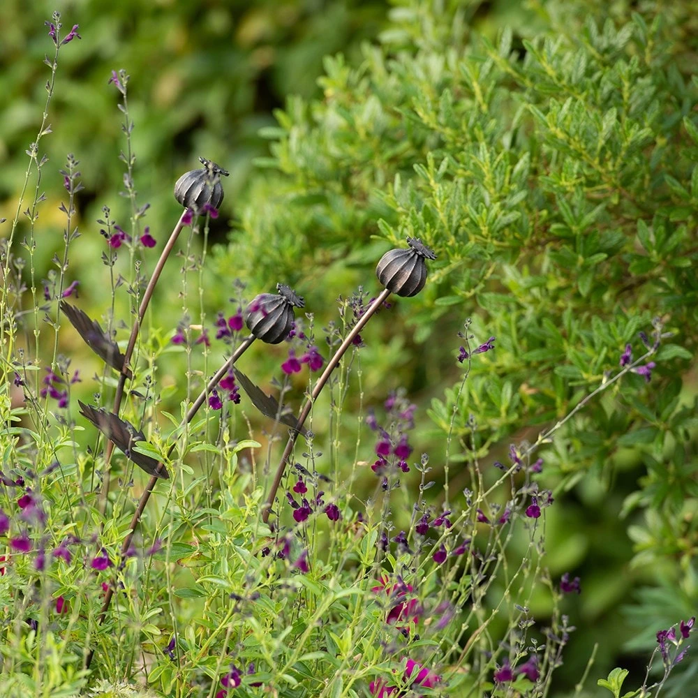 Poppy Seed Head Stake - Small Seed Head 6 Poppy Seed Head Stake - Small Seed Head - Image 6