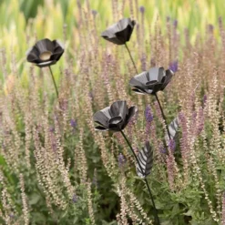 Poppy Flower Stake -Plant Verdant Sales pr2000028381 card3 lg