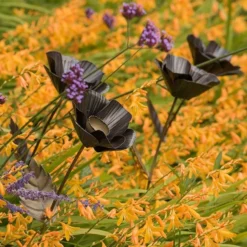 Poppy Flower Stake -Plant Verdant Sales pr2000028381 card6 lg