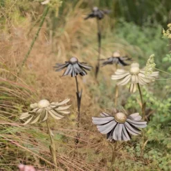 Helenium Flower Stake 13 Helenium Flower Stake -Plant Verdant Sales pr2000028383 card4 lg