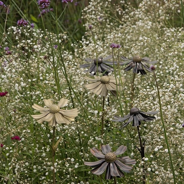 Helenium Flower Stake 5 Helenium Flower Stake - Image 5