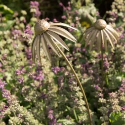 Echinacea Plant Stake - Antique Brass -Plant Verdant Sales pr2000028406 card6 lg