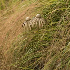Echinacea Plant Stake - Antique Brass -Plant Verdant Sales pr2000028406 card7 lg